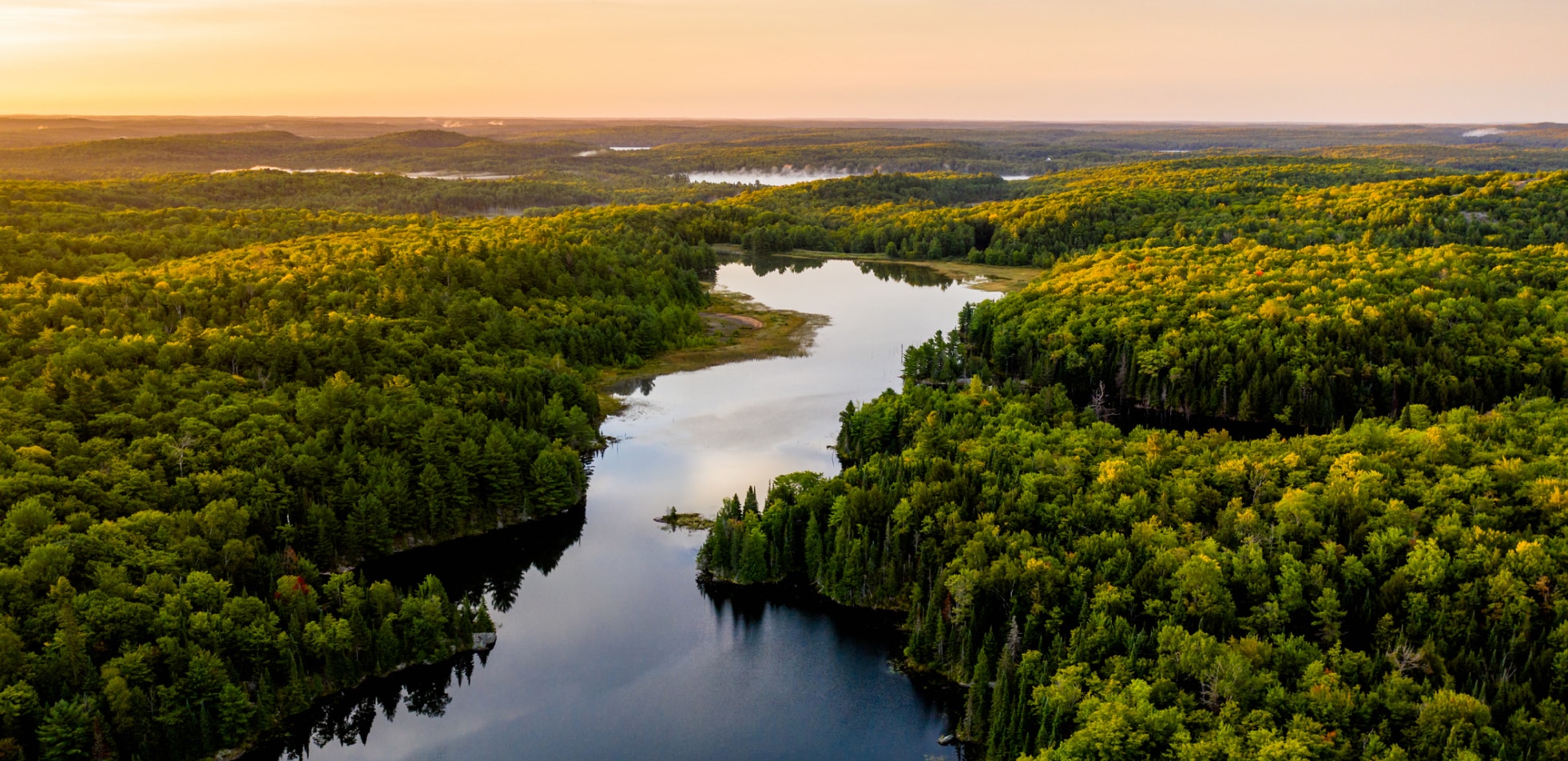 paysage-foret-eau